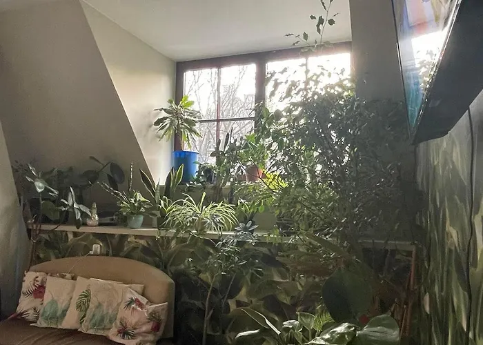 Hostel Universus Gdańsk