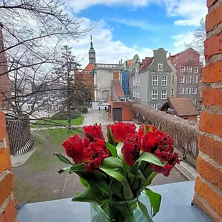 Hostel Universus