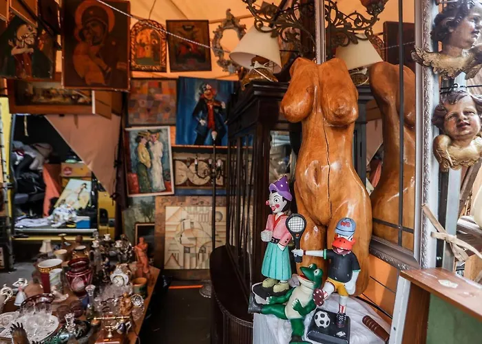 Universus Auberge de jeunesse *