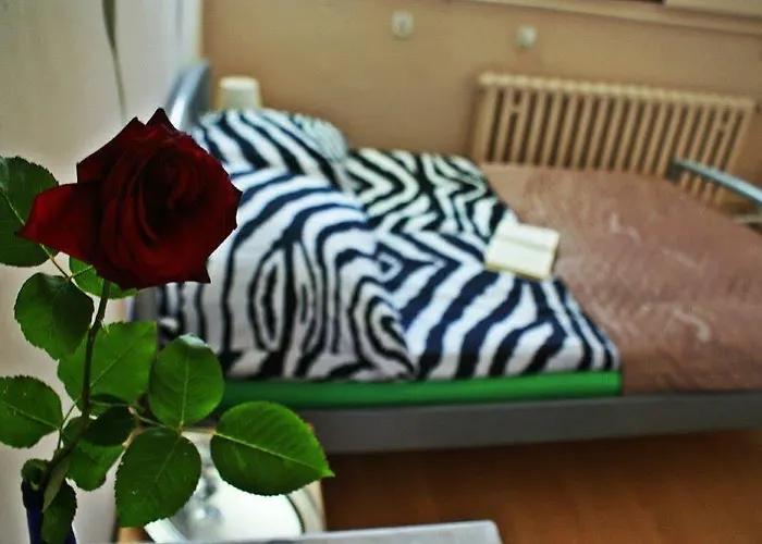 Auberge de jeunesse Universus *